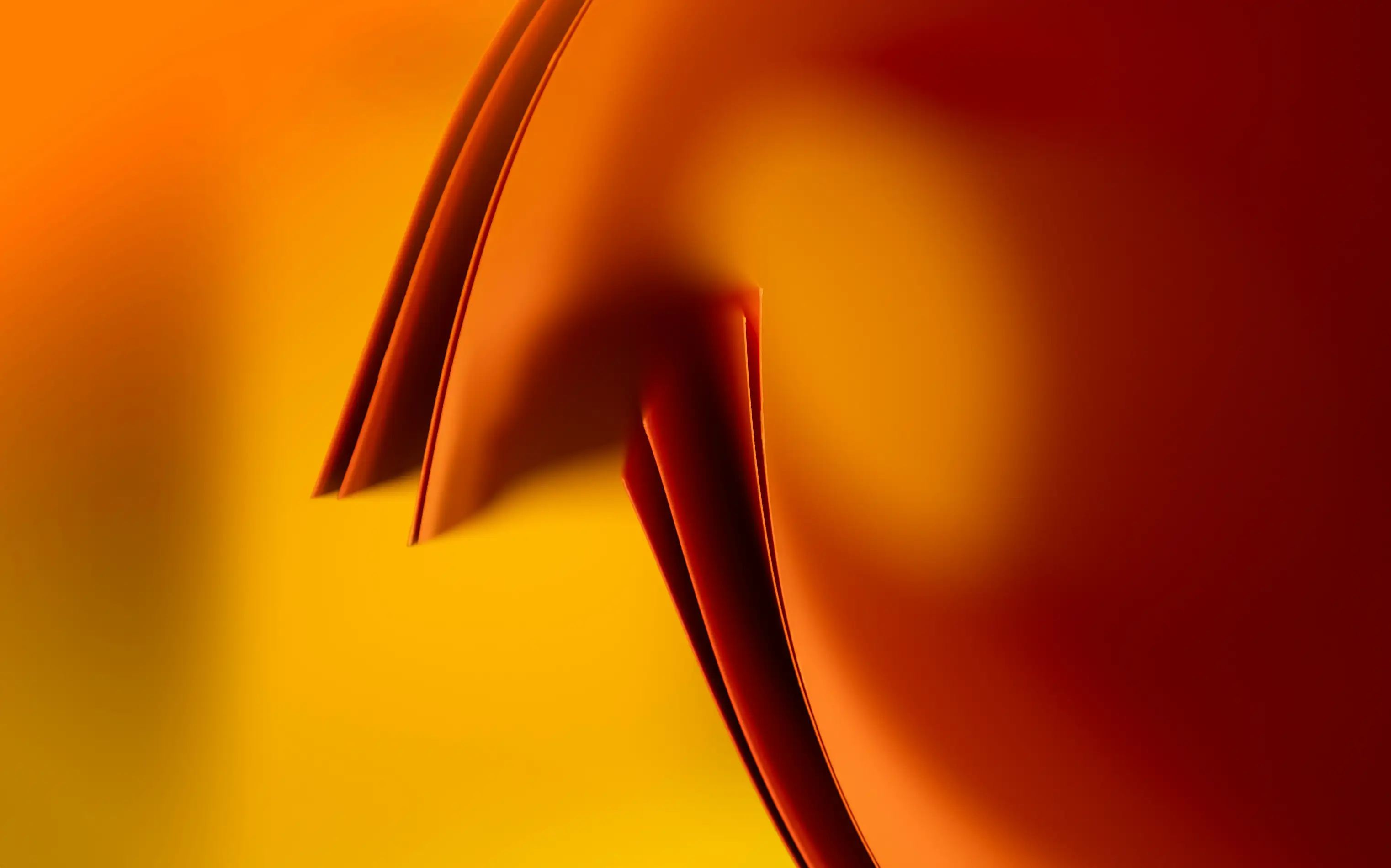jakub zerdzicki h f0lcef w4 unsplash