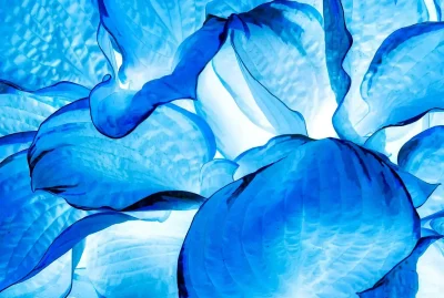 eugene-golovesov-Mw_uEpFK0zI-unsplash